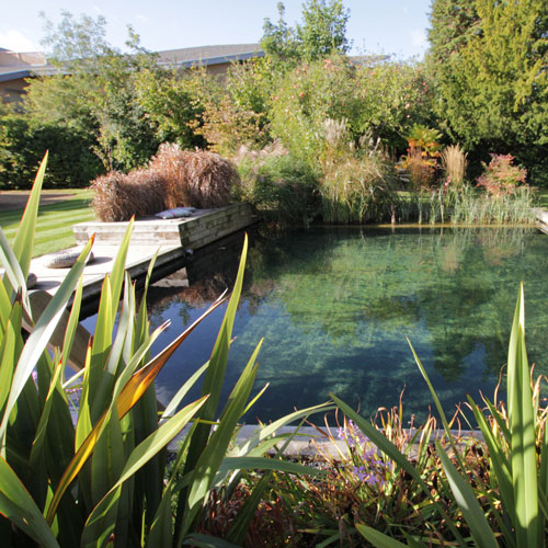 ساخت-استخر-باغ