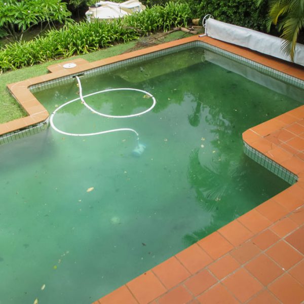 چگونه-استخر-خود-را-مانند-روز-اول-تمیز-نگه-داریم