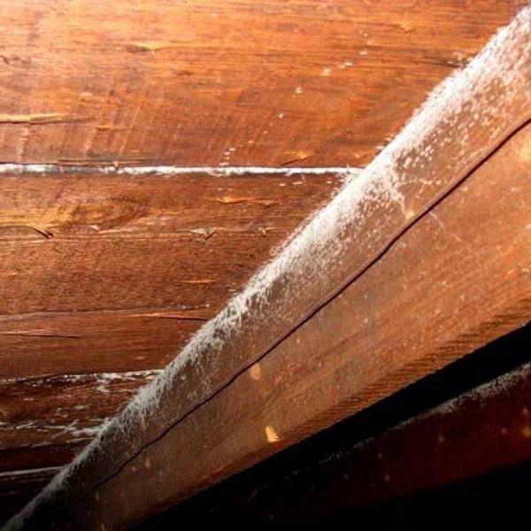 راه‌های-جلوگیری-از-رشد-قارچ-و-کپک-در-سونا